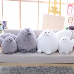 Chat persan peluche 30-50cm