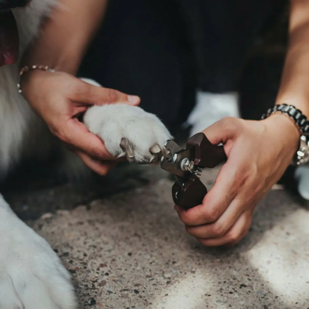 Ciseaux à ongles taille l
