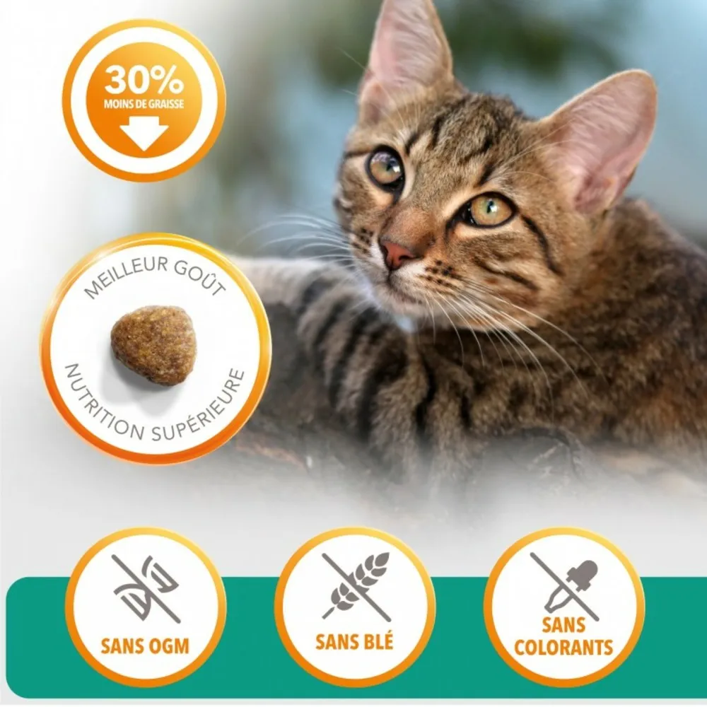 Croquettes chat stérilisé - iams for vitality 1,5 kg