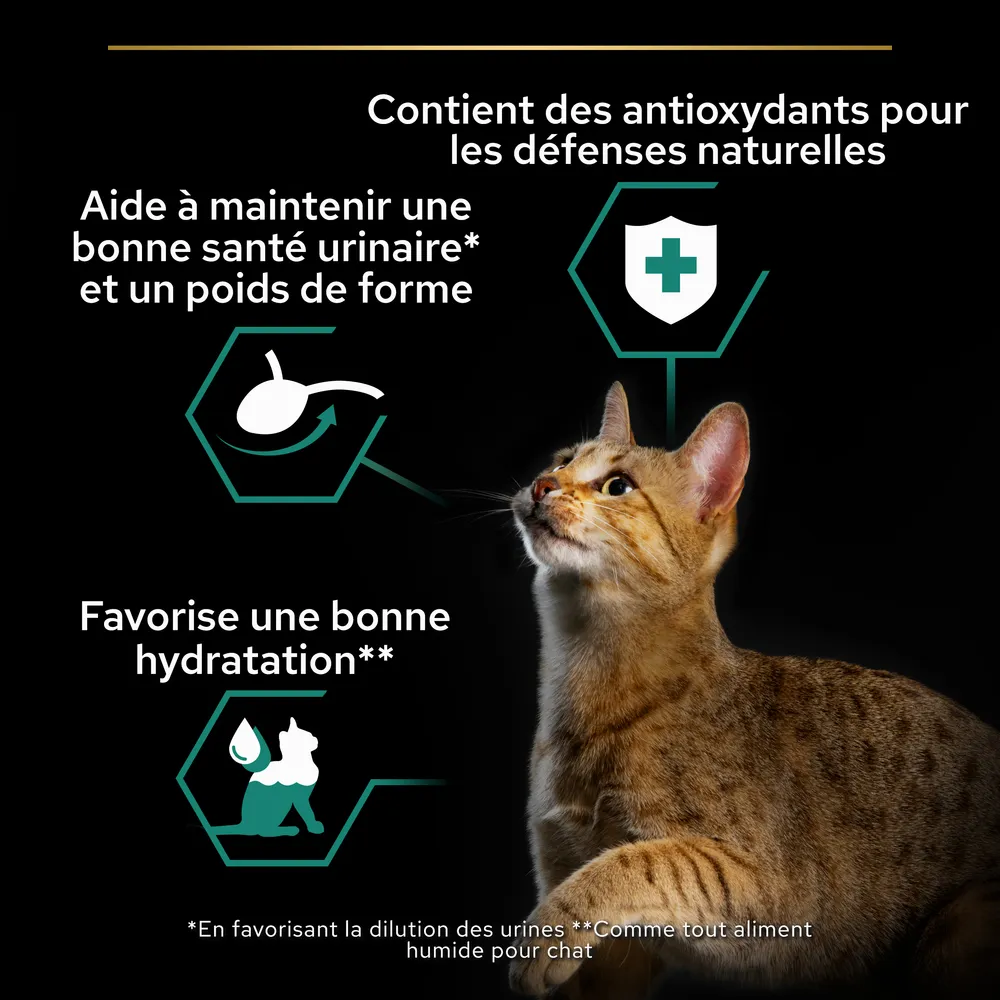 Terrine stérilised maintenance cabillaud pour chat 10x75g